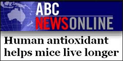 Human Antioxidant Catalase Helps Mice Live Longer- ABC News Online