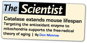 Catalase Extends Mouse Lifespan- The Scientist