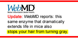 The Same Enzyme Dramatically Extends Life In Mice Also Stops Your Hair From Turning Gray- WebMD
